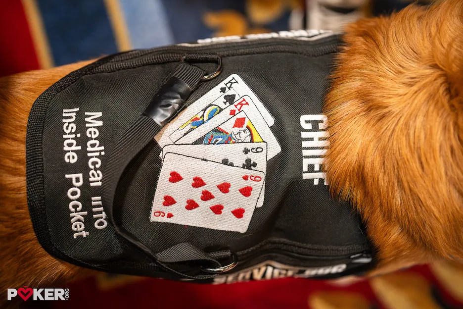 Chief comes appropriately dressed to a poker room.