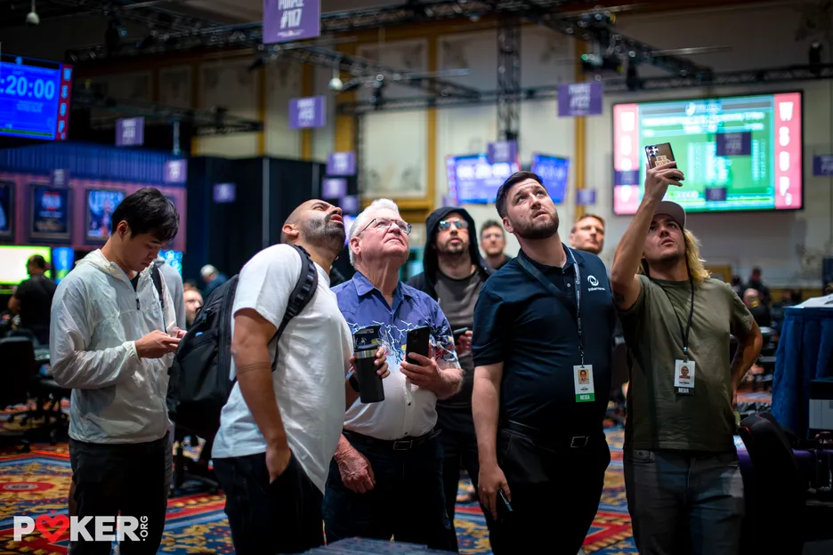 Is it a bird, is it a plane?