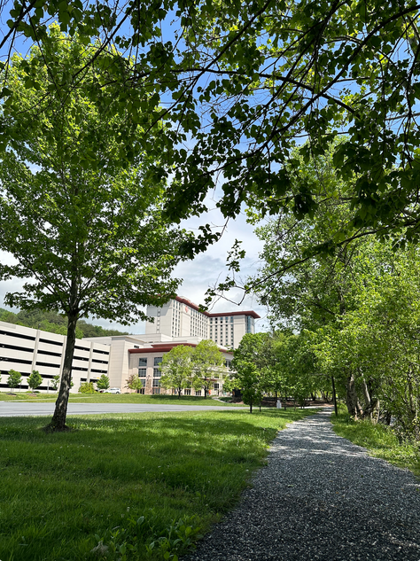 Just a taste of the plentiful greenspace around Harrah's Cherokee