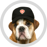 Dog Diggler
