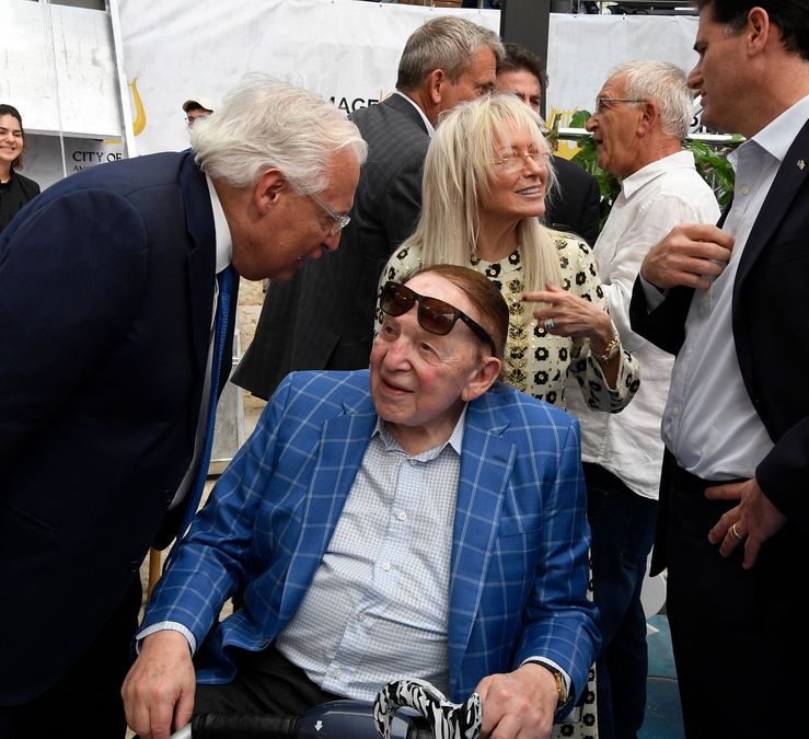 Adelson steps down from business for further cancer treatment