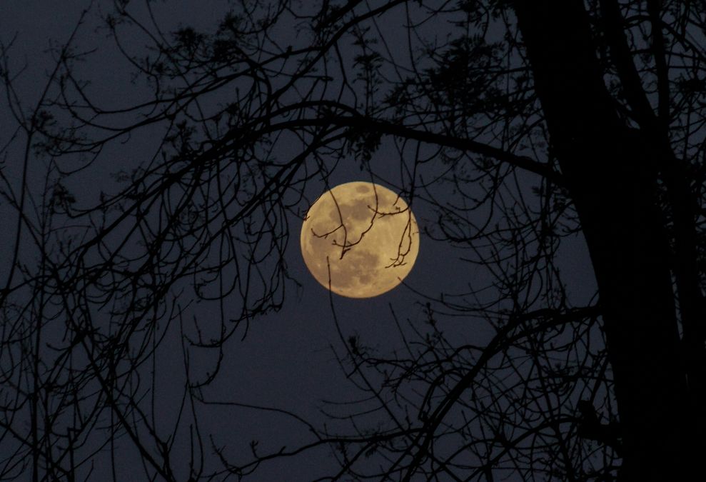 Lee Jones: A full moon and a Friday night lunatic